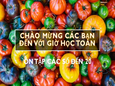 Bài giảng Toán Lớp 1 - Ôn tập các số đến 20