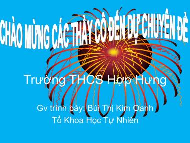Bài giảng Chuyên đề : Các phương pháp phân tích đa thức thành nhân tử - Bùi Thị Kim Oanh