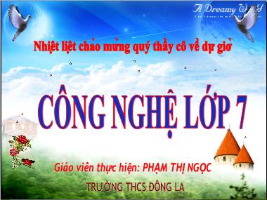 Bài giảng Công nghệ Lớp 7 - Bài 4: Giới thiệu về rừng - Phạm Thị Ngọc