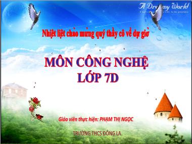 Bài giảng Công nghệ Lớp 7 - Bài 5: Trồng cây rừng - Phạm Thị Ngọc