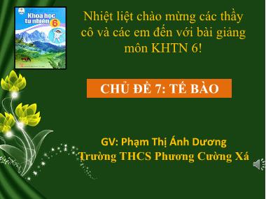 Bài giảng KHTN Lớp 6 - Chủ đề 7: Tế bào - Bài 13. Từ tế bào đến cơ thể - Phạm Thị Ánh Dương