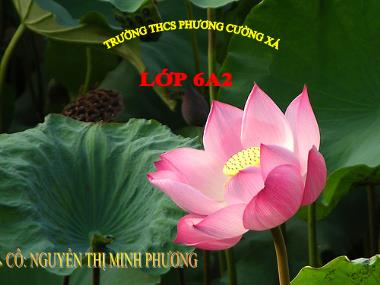 Bài giảng Ngữ Văn Lớp 6 - Văn bản: Đêm nay Bác không ngủ - Nguyễn Thị Minh Phương