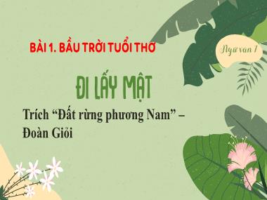 Bài giảng Ngữ Văn Lớp 7 - Bài 1: Bầu trời tuổi thơ - Đọc: Đi lấy mật