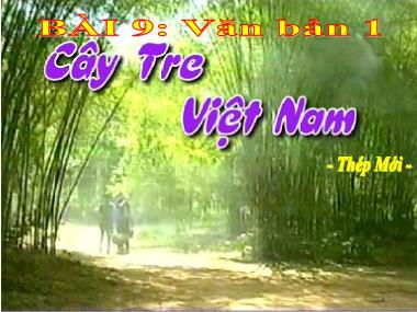 Bài giảng Ngữ Văn Lớp 7 - Bài 9: Văn bản 1: Cây tre Việt Nam (Thép Mới)