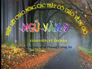 Bài giảng Ngữ Văn Lớp 9 - Những ngôi sao xa xôi - Vũ Thị Hảo