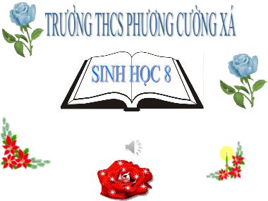 Bài giảng Sinh Học Lớp 8 - Bài 45: Dây thần kinh tủy