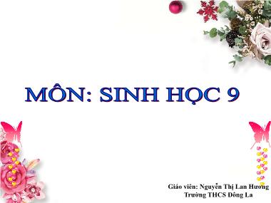 Bài giảng Sinh học Lớp 9 - Bài 25: Thường biến - Nguyễn Thị Lan Hương