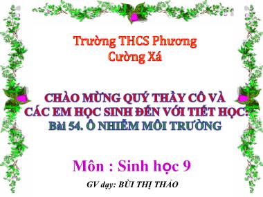 Bài giảng Sinh Học Lớp 9 - Bài 45: Ô nhiễm môi trường - Bùi Thị Thảo