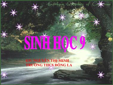 Bài giảng Sinh Học Lớp 9 - Chương II: Nhiễm sắc thể - Nguyễn Thị Minh