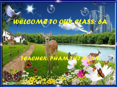 Bài giảng Tiếng Anh Lớp 6 - Unit 6: Our Tet Holiday - Lesson 1: Getting Started - Phạm Thị Ngân