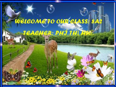 Bài giảng Tiếng Anh Lớp 8 - Unit 5: Festivals in Viet Nam - Lesson 1: Getting Started - Phí Thị Huế