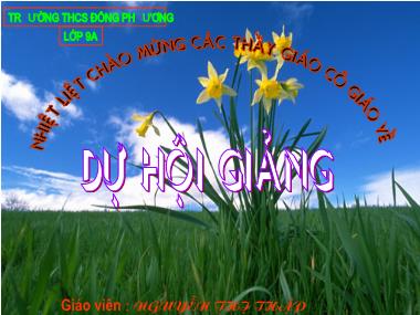 Bài giảng Toán học Lớp 9 - Bài 2: Đồ thị của hàm số y=ax² (a khác 0) - Nguyễn Thị Thập