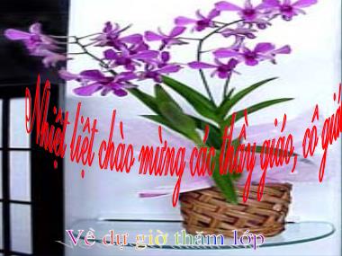 Bài giảng Toán Lớp 10 - Chuyên đề: Phương trình quy về phương trình bậc hai