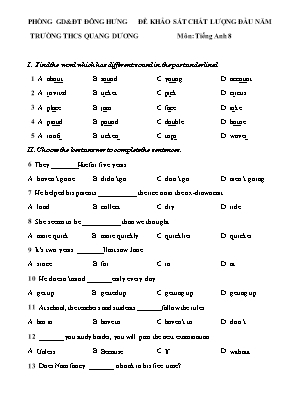 Bài khảo sát chất lượng đầu năm môn Tiếng Anh Lớp 8 - Trường THCS Quang Dương (Có đáp án)