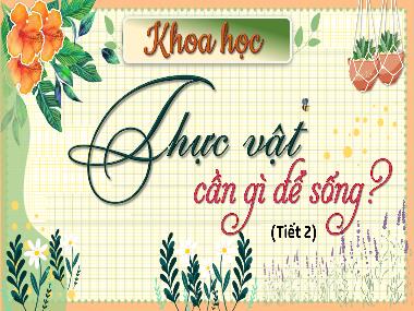 Bài giảng Khoa Học 4 - Bài 15: Thực vật cần gì để sống? (Tiết 2)(GV: Cao Thị Kim Nga)