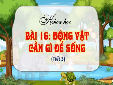 Bài giảng Khoa Học 4 - Bài 16: Động vật cần gì để sống (Tiết 3)(GV: Cao Thị Kim Nga)