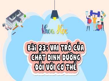 Bài giảng Khoa Học 4 - Bài 23: Vai trò của chất dinh dưỡng đối với cơ thể (GV: Cao Thị Kim Nga)