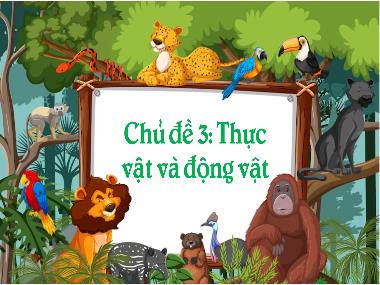 Bài giảng Khoa Học 4 - Chủ đề 3, Bài 15: Thực vật cần gì để sống (GV: Cao Thị Kim Nga)