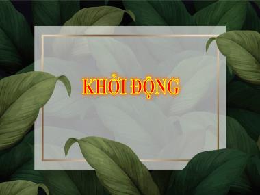 Bài giảng Tiếng Việt 1 - Bài 77: Vần oai, uê, uy (NH 2023-2024)(GV: Phan Thị Tú Oanh)