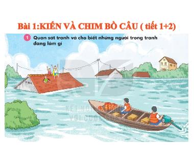 Bài giảng Tiếng Việt 1 KNTT - Bài 1: Kiến và chim bồ câu (Tiết 1+2) (GV: Cao Thị Hảo)