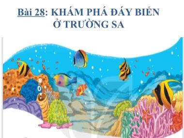 Bài giảng Tiếng Việt 1 KNTT - Bài 28: Khám phá đáy biển ở Trường Sa (GV: Cao Thị Hảo)