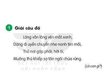 Bài giảng Tiếng Việt 1 KNTT - Chủ đề 6, Bài 3: Chúa tể rừng xanh (GV: Cao Thị Hảo)
