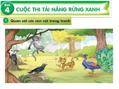 Bài giảng Tiếng Việt 1 KNTT - Chủ đề 6, Bài 4: Cuộc thi tài năng rừng xanh (GV: Cao Thị Hảo)