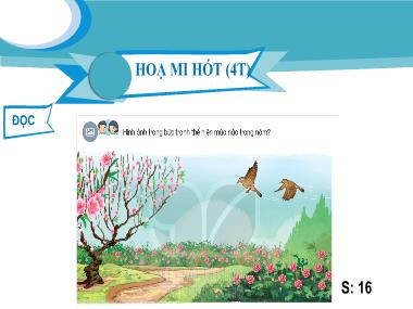 Bài giảng Tiếng Việt 2 KNTT - Bài 3: Họa mi hót (Tiết 4) (GV: Cao Thị Kim Nga)