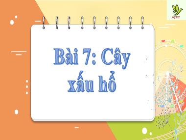 Bài giảng Tiếng Việt 2 KNTT - Bài 7: Cây xấu hổ (GV: Cao Thị Kim Nga)