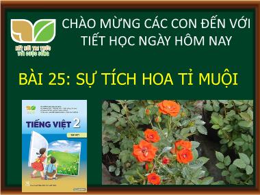 Bài giảng Tiếng Việt 2 KNTT Tập 1 - Bài 25: Sự tích hoa tỉ muội (GV: Cao Thị Kim Nga)