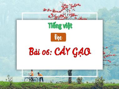 Bài giảng Tiếng Việt 3 - Bài 6: Đọc: Cây gạo (NH 2023-2024)(GV: Trần Thị Vân)