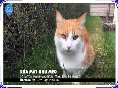 Bài giảng Tiếng Việt 3 KNTT - Bài 13: Mèo đi câu cá (Tiết 1+2)(GV: Cao Thị Kim Nga)