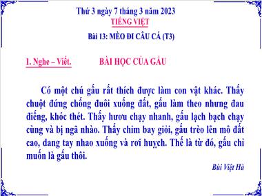Bài giảng Tiếng Việt 3 KNTT - Bài 13: Mèo đi câu cá (Tiết 3)(GV: Cao Thị Kim Nga)