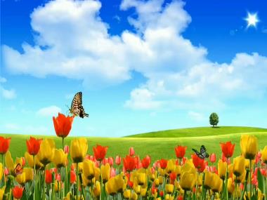 Bài giảng Tiếng Việt 3 KNTT - Bài 17: Đọc Ngưỡng cửa (GV: Cao Thị Kim Nga)