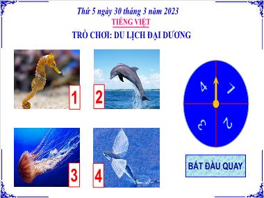 Bài giảng Tiếng Việt 3 KNTT - Bài 18: Luyện tập: Từ ngữ có nghĩa giống nhau, biện pháp so sánh (GV: Cao Thị Kim Nga)