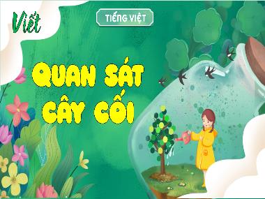 Bài giảng Tiếng Việt 4 KNTT - Viết Quan sát cây cối (GV: Cao Thị Kim Nga)