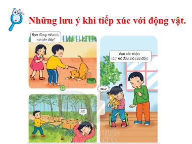 Bài giảng TNXH 1 - Bài 18: Chăm sóc và bảo vệ vật nuôi (GV: Cao Thị Hảo)
