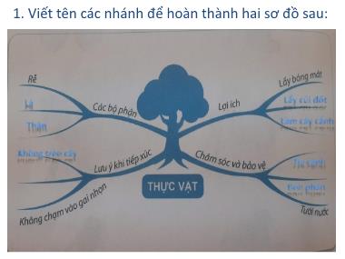 Bài giảng TNXH 1 - Bài 19: Ôn chủ đề Thực vật và động vật (GV: Cao Thị Hảo)