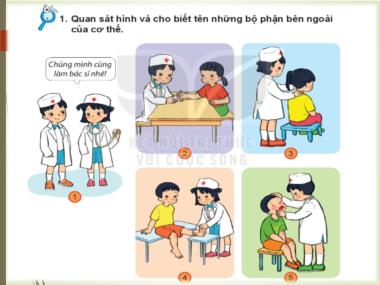 Bài giảng TNXH 1 - Bài 20: Cơ thể em (GV: Cao Thị Hảo)