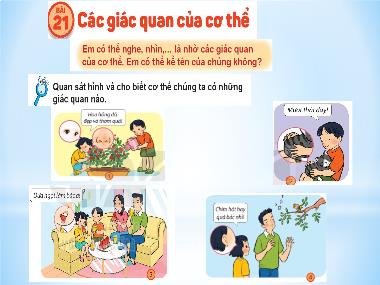 Bài giảng TNXH 1 - Bài 21: Các giác quan của cơ thể (GV: Cao Thị Hảo)
