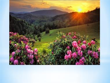 Bài giảng TNXH 1 - Bài 26: Cùng khám phá: Bầu trời