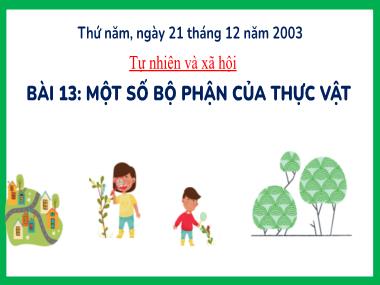 Bài giảng TNXH 3 - Bài 13: Một số bộ phận của thực vật (Tiết 2)(NH 2023-2024)(GV: Trần Thị Vân)