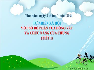 Bài giảng TNXH 3 - Bài 15: Một số bộ phận của động vật và chức năng của chúng (Tiết 1)(NH 2023-2024)(GV: Trần Thị Vân)
