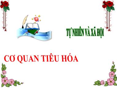 Bài giảng TNXH 3 - Bài 18: Cơ quan tiêu hóa (Tiết 1)(NH 2024-2025)(GV: Trần Thị Vân)