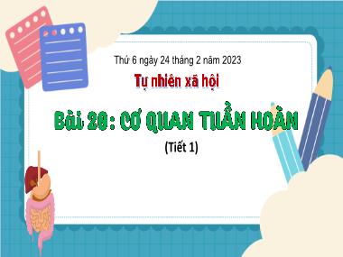 Bài giảng TNXH 3 - Bài 20: Cơ quan tuần hoàn (Tiết 1)(NH 2023-2024)(GV: Trần Thị Vân)