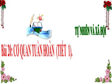 Bài giảng TNXH 3 - Bài 20: Cơ quan tuần hoàn (Tiết 1)(NH 2024-2025)(GV: Trần Thị Vân)