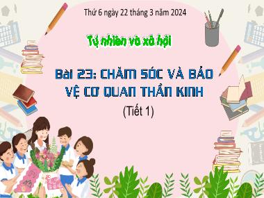 Bài giảng TNXH 3 - Bài 23: Chăm sóc và bảo vệ cơ quan thần kinh (Tiết 1)(NH 2023-2024)(GV: Trần Thị Vân)