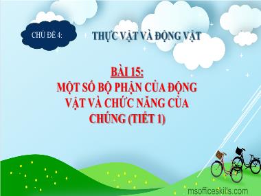 Bài giảng TNXH 3 - Chủ đề 4, Bài 15: Một số bộ phận của động vật và chức năng của chúng (Tiết 1)(NH 2024-2025)(GV: Trần Thị Vân)