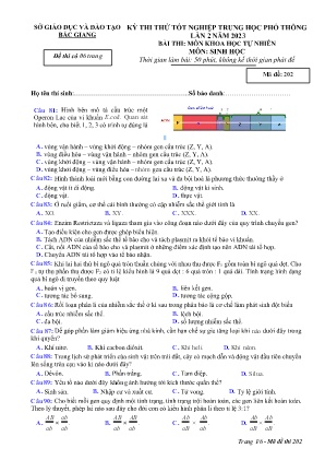 Đề thi thử tốt nghiệp THPT Sinh học (Lần 2) - Mã đề 202 - Sở GD&ĐT Bắc Giang (Có đáp án)