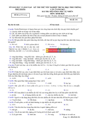 Đề thi thử tốt nghiệp THPT Sinh học (Lần 2) - Mã đề 206 - Sở GD&ĐT Bắc Giang (Có đáp án)